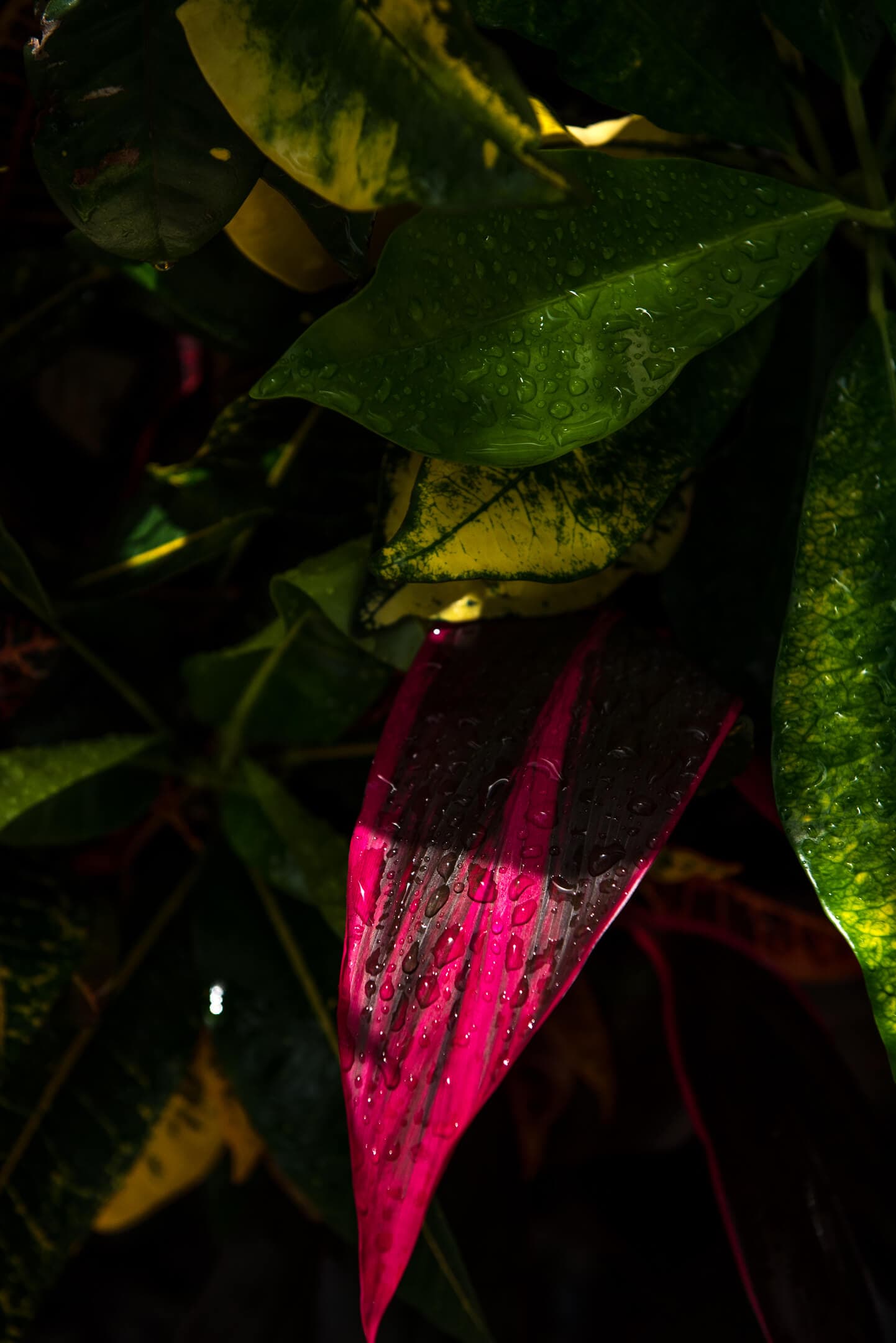 Marea Architecture detail 3