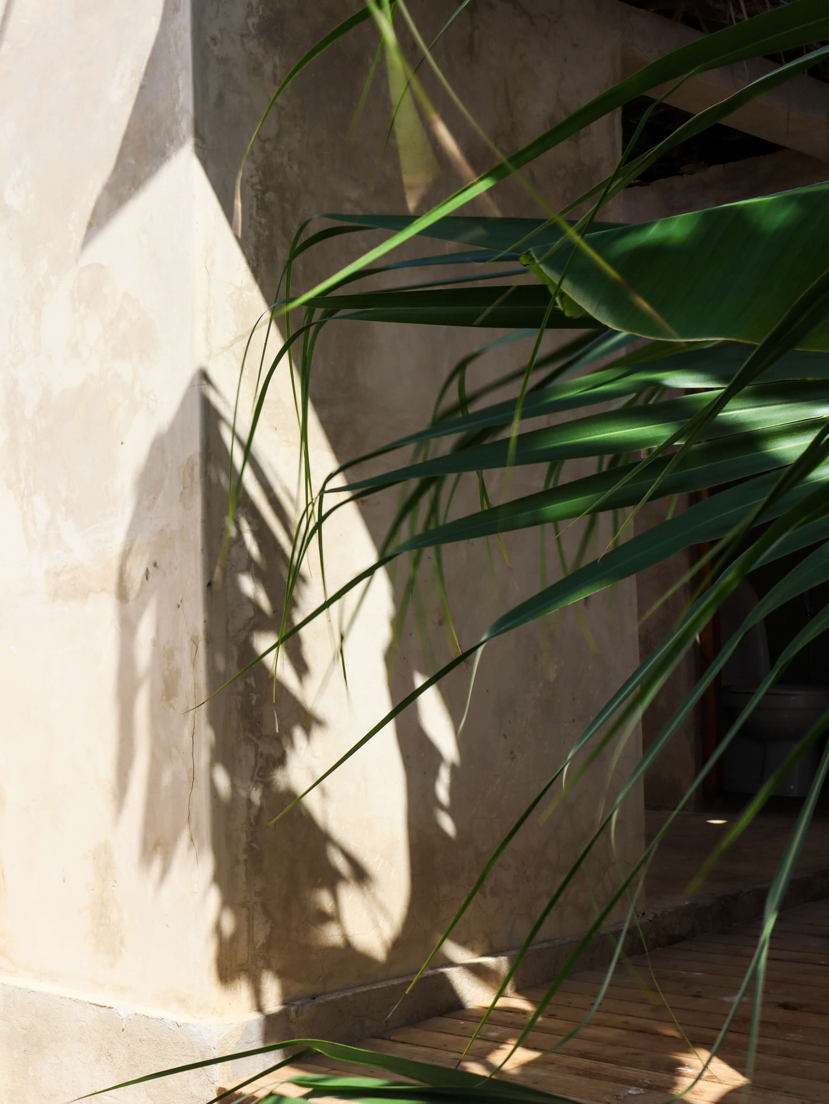 Dar Mar Hostel & Coworking