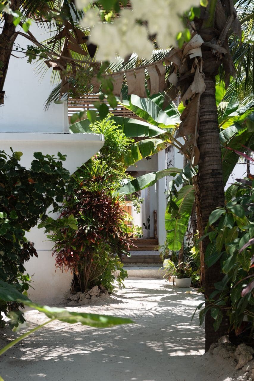 Exterior detail with vegetation